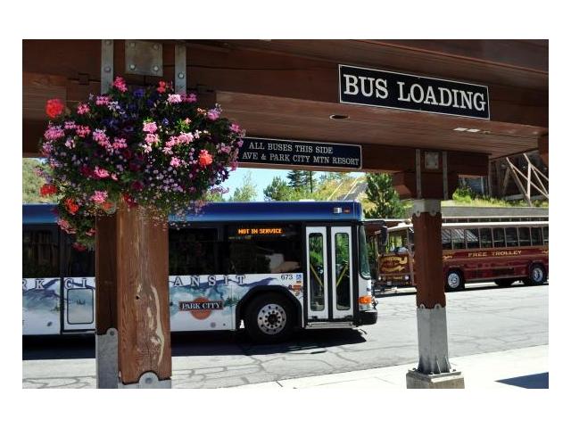 Free Park City bus system