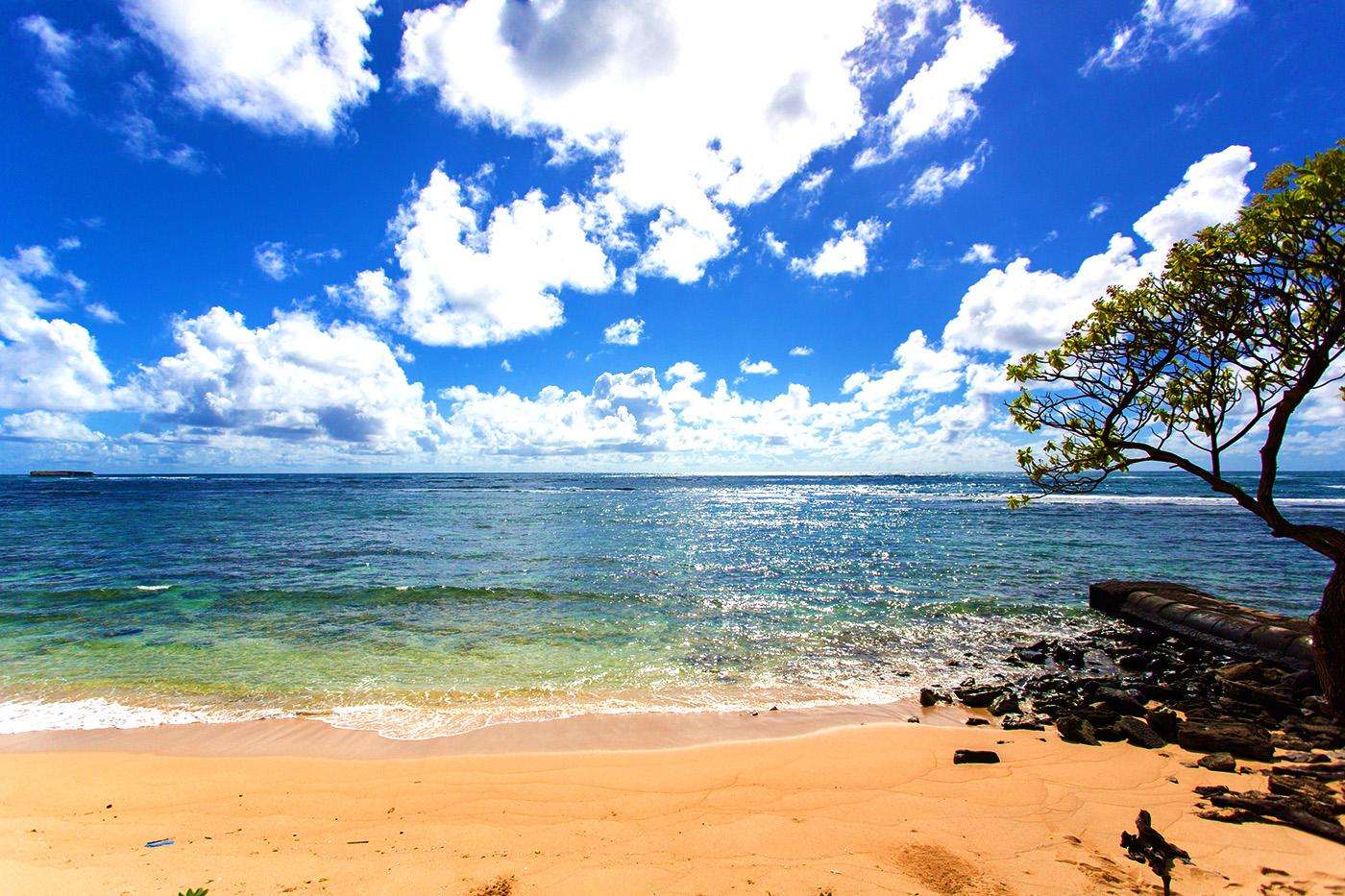 Our beach front area is part of a half mile of sandy beach