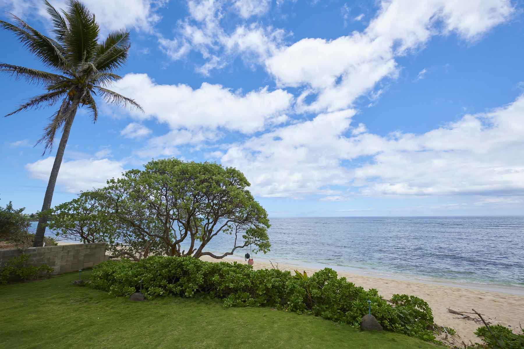 Beach area.