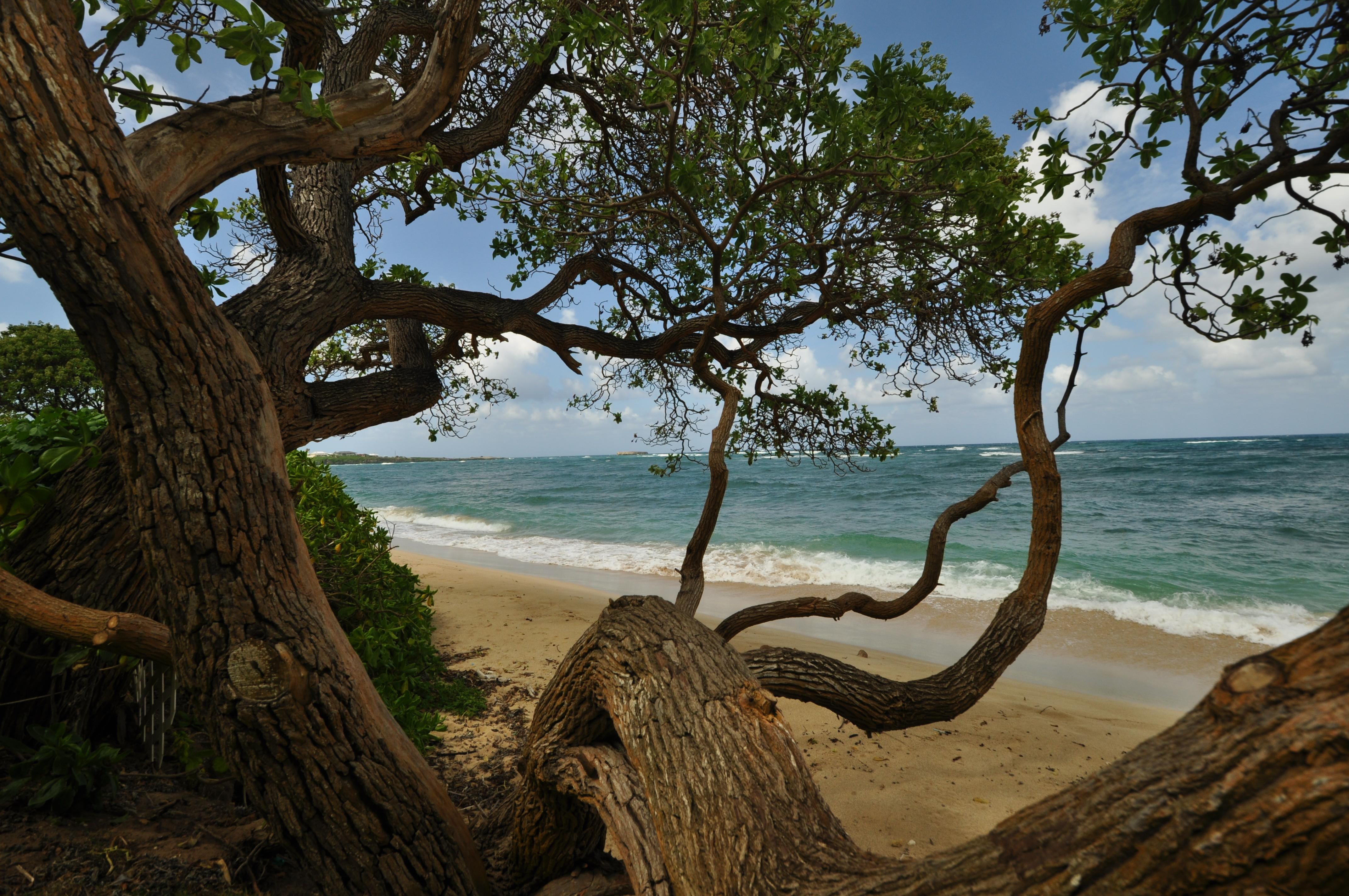Half mile of sandy beach front with shallow waters.
