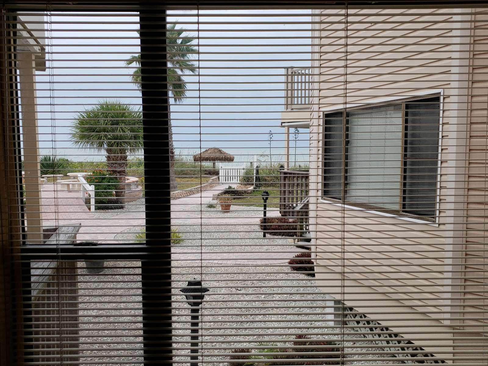 View from Condo
