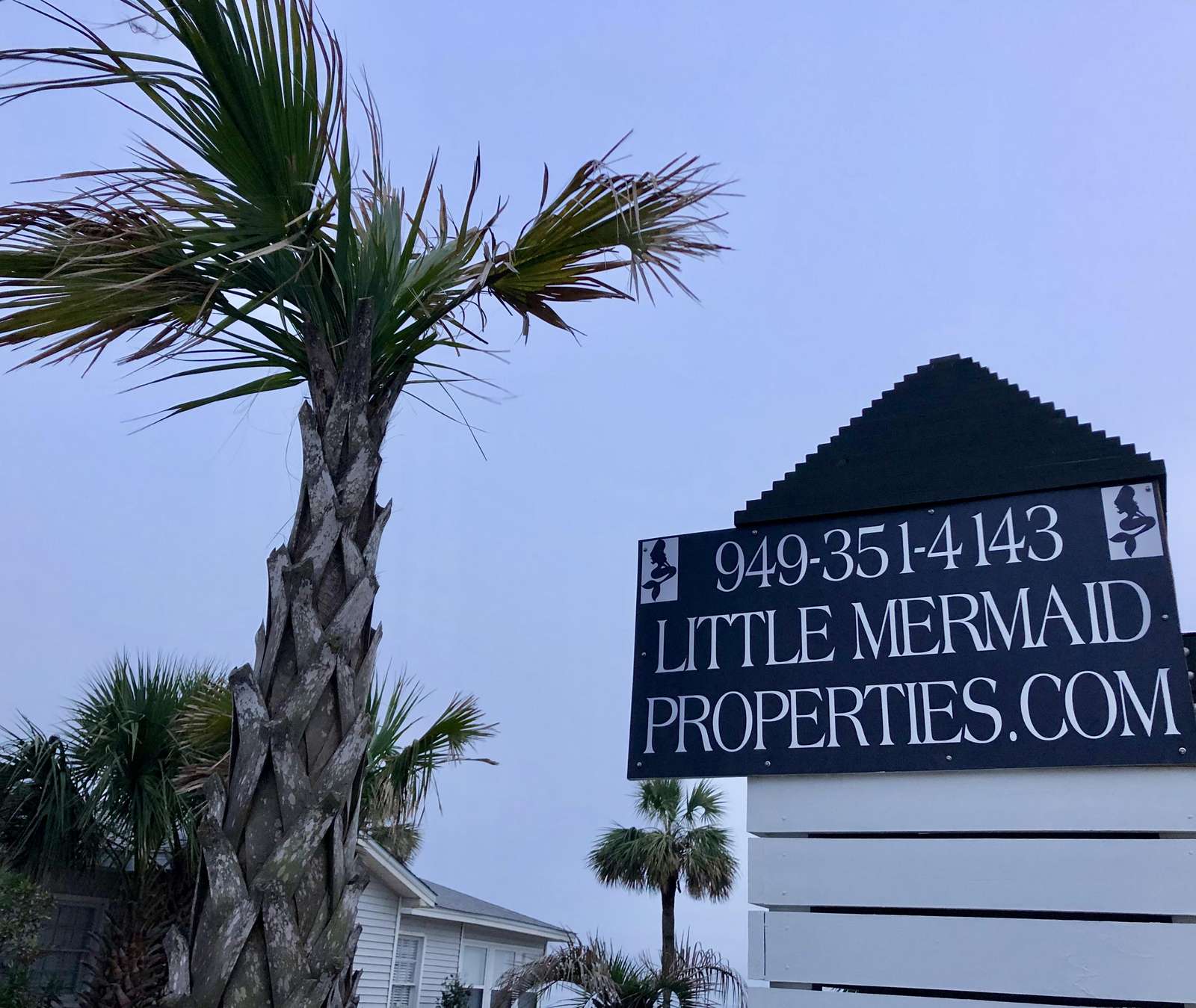 littlemermaidproperties.com. 949-351-4143