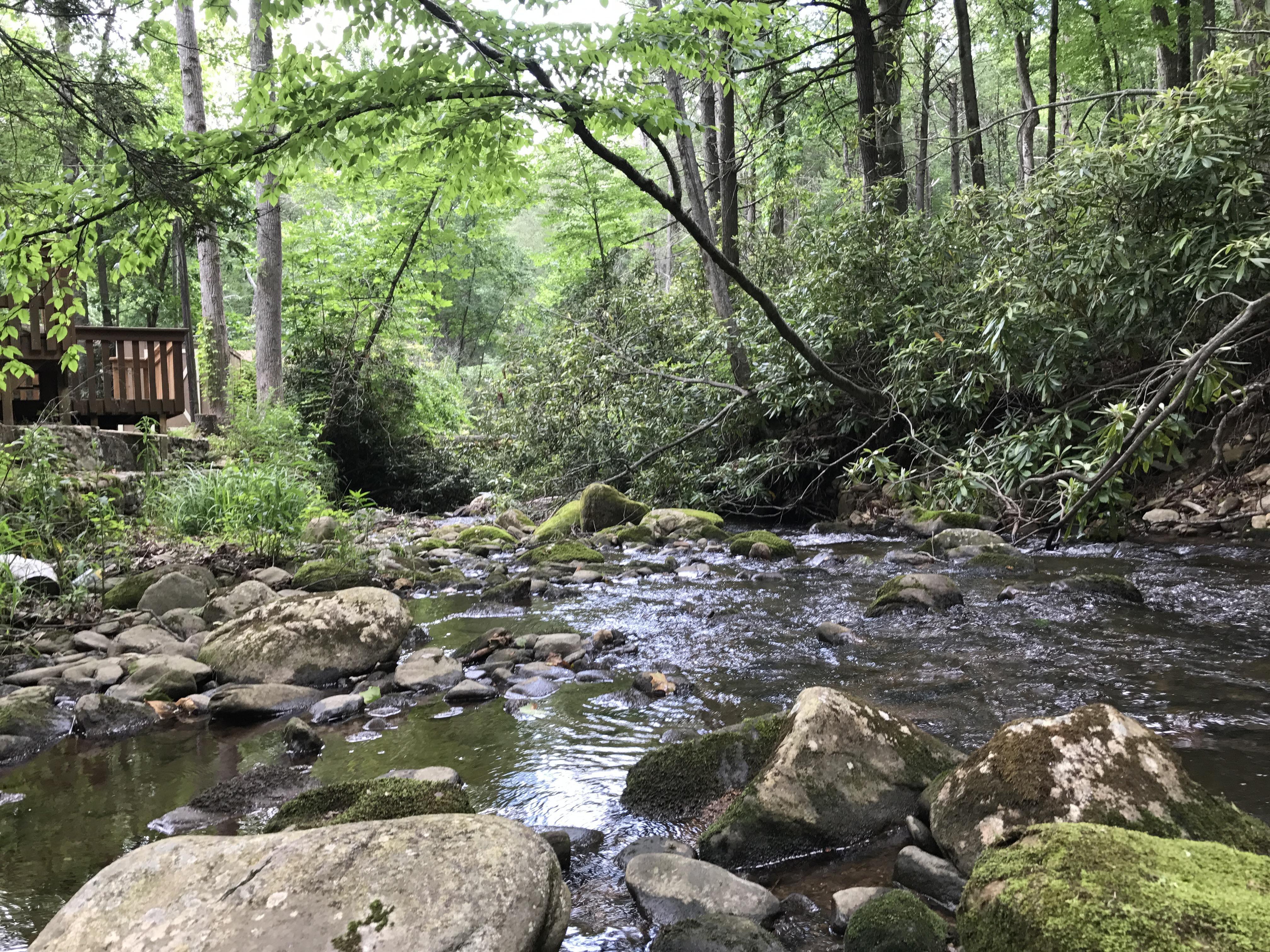 Cozy Creek (Creekside Cottage) Cabins of Asheville