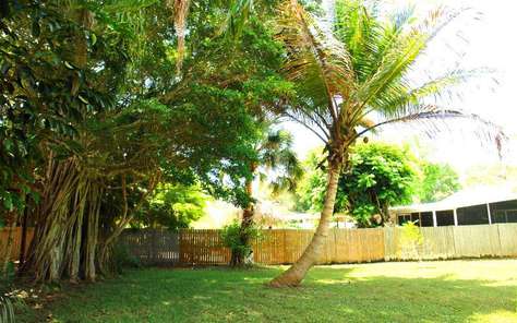 Backyard / Property is on 1/2 acres