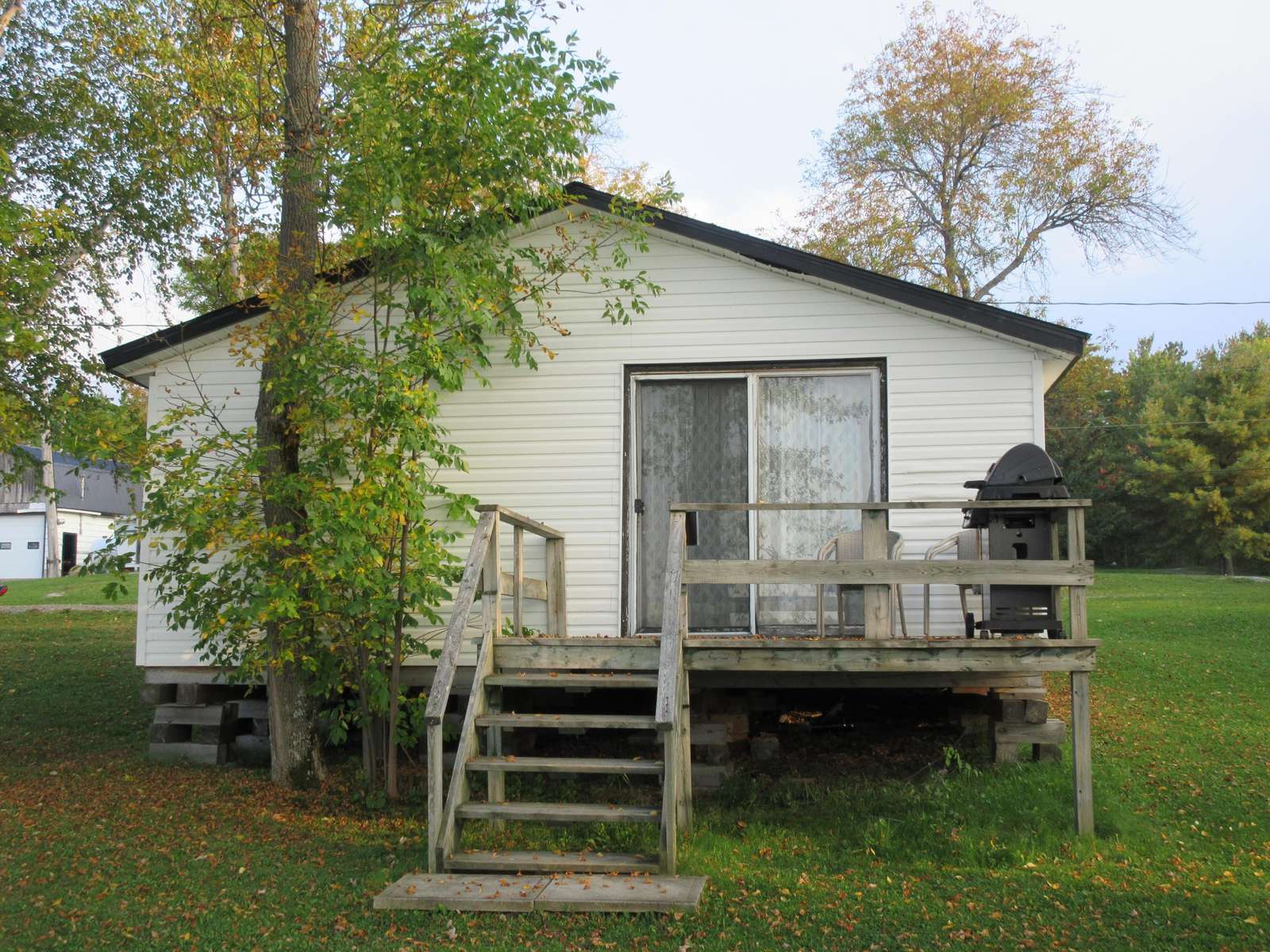 Rear