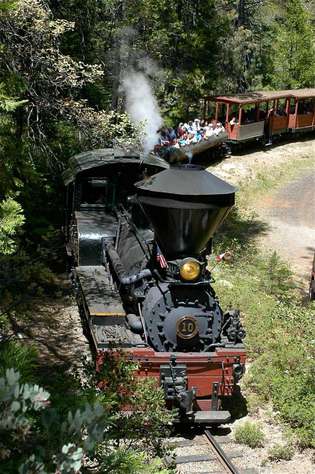 Ride the Sugar Pine Railroad. (summer only)