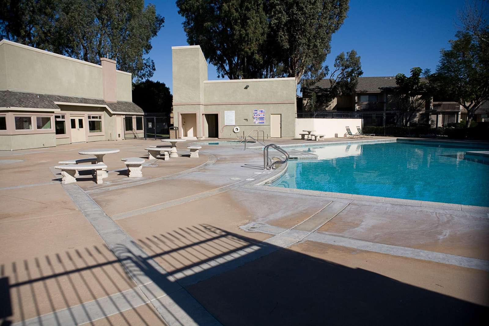 Large Pool #2
