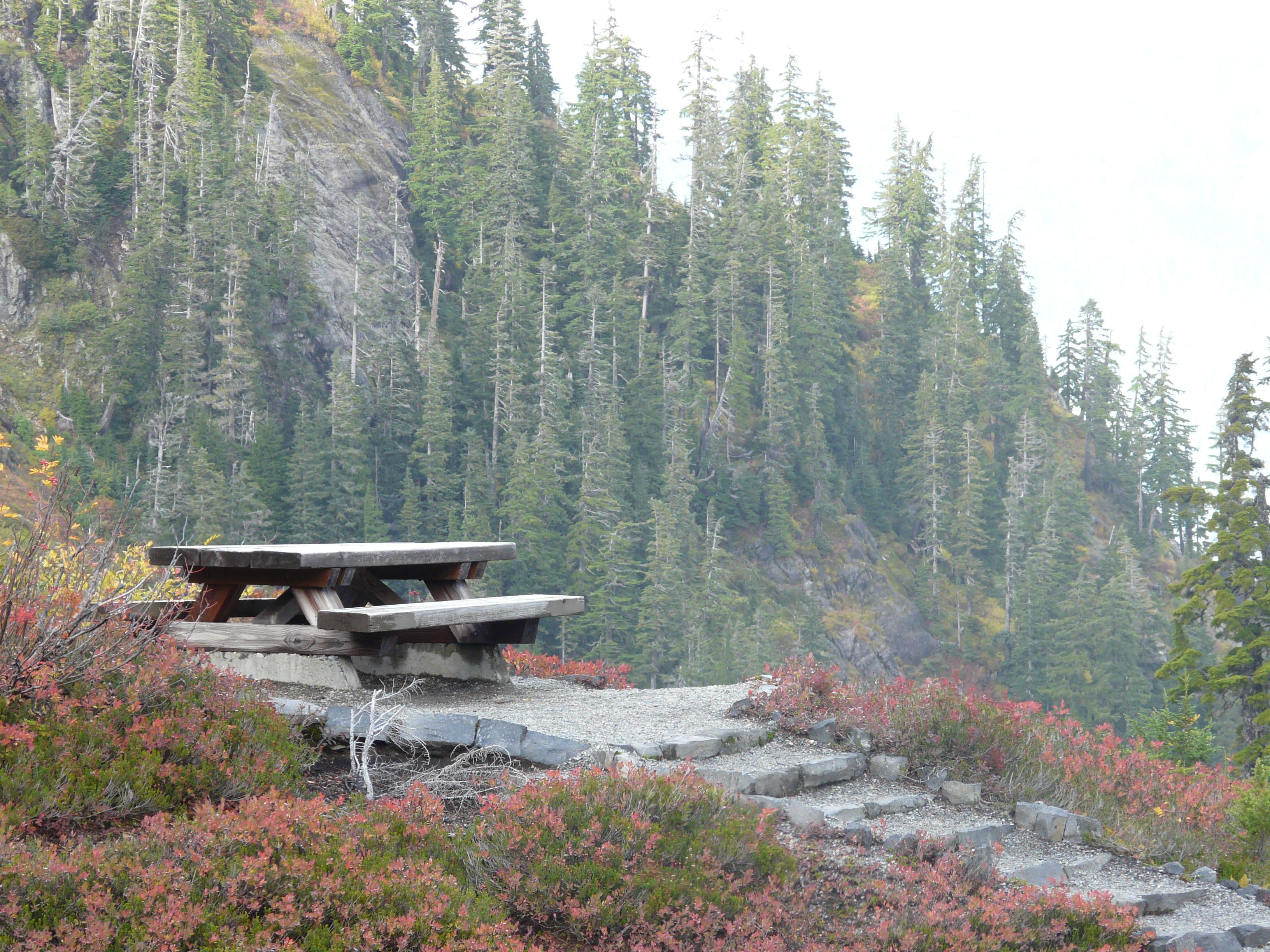 Picnic at the top