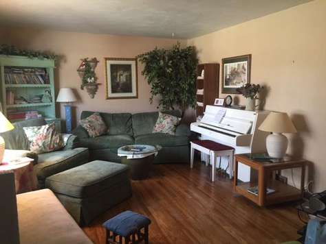 Comfy Living Room