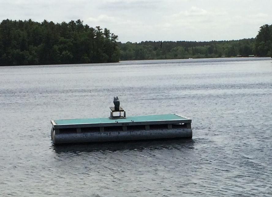 cottage swimmimg raft