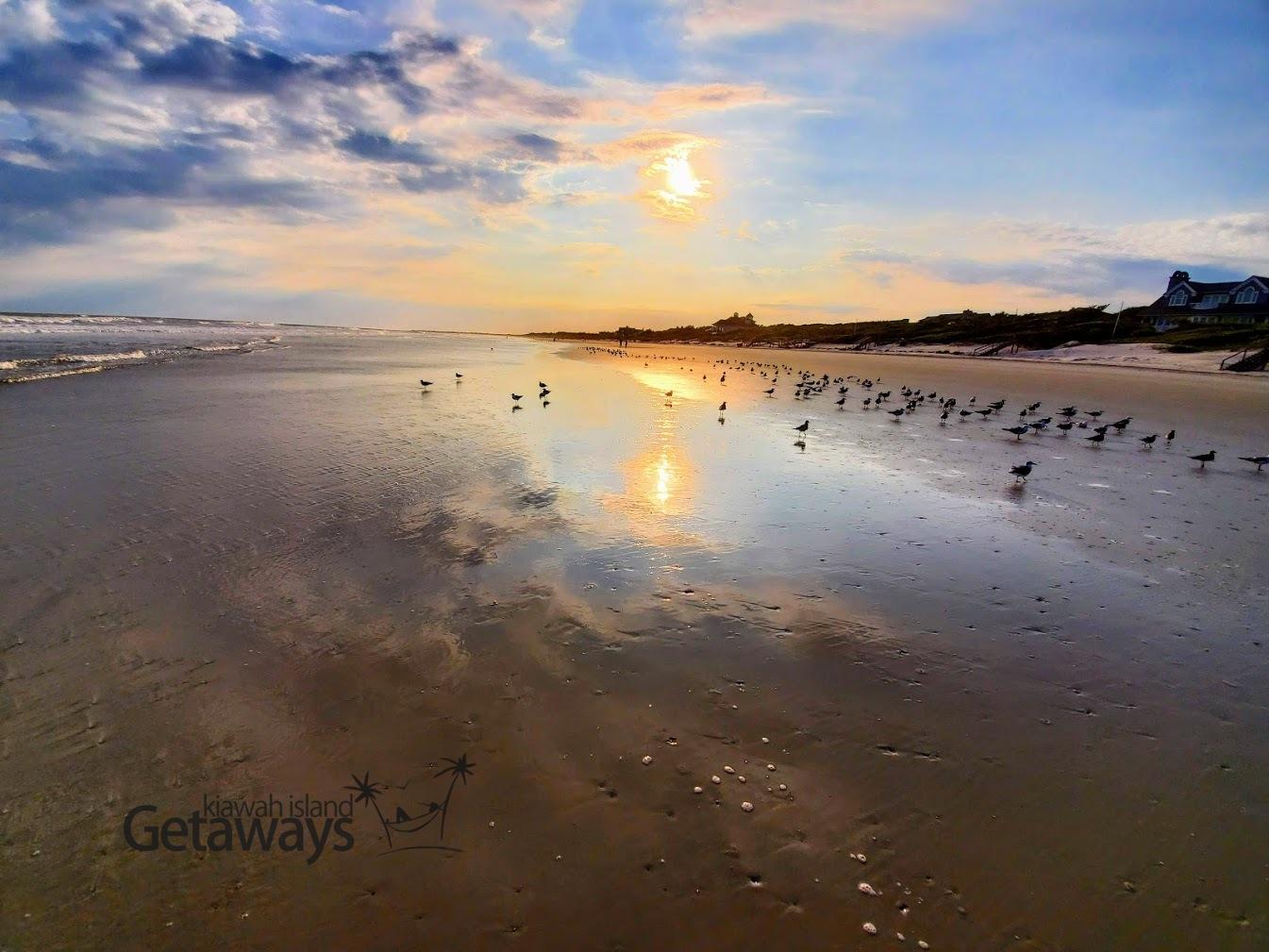 7-minute Walk to Beach, Bike there in 2