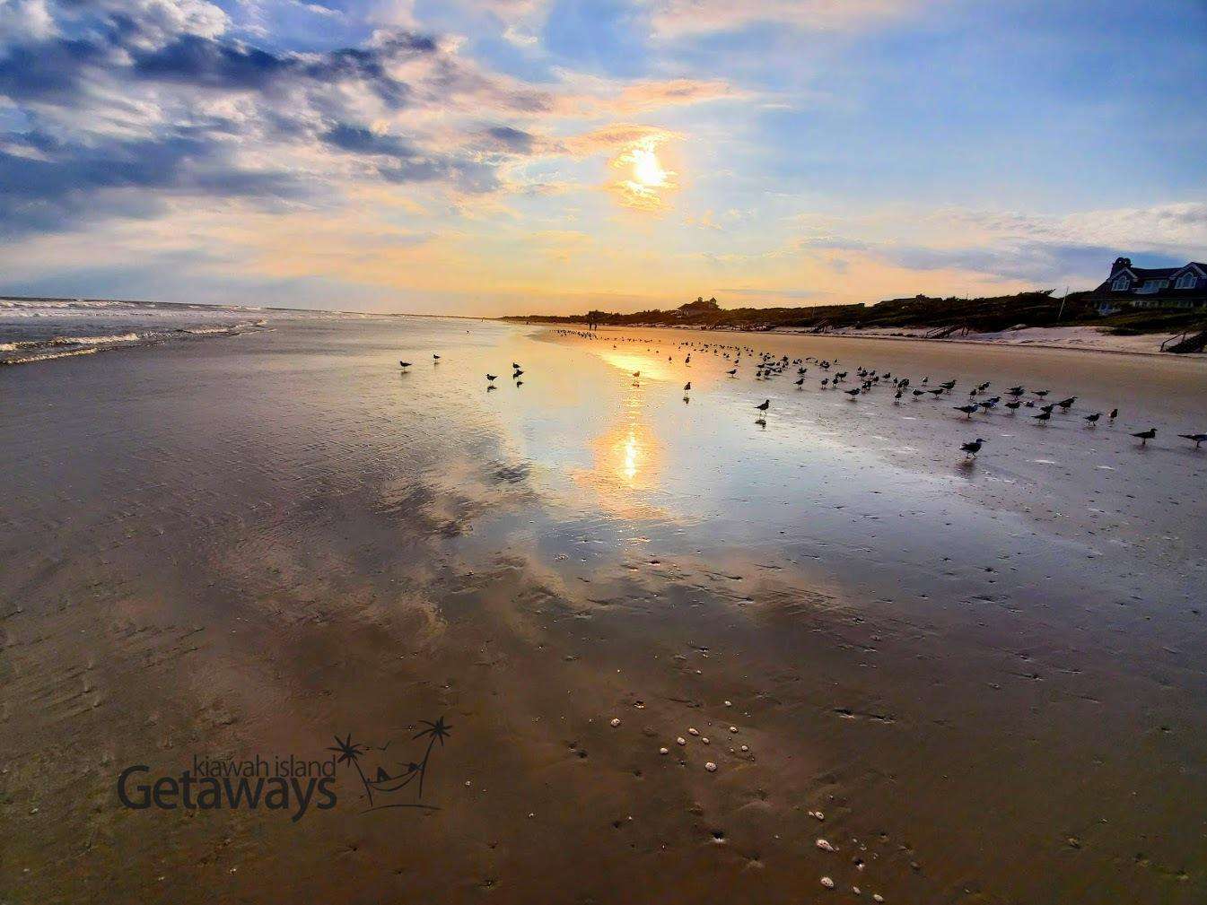 7-minute Walk to Beach, Bike there in 2