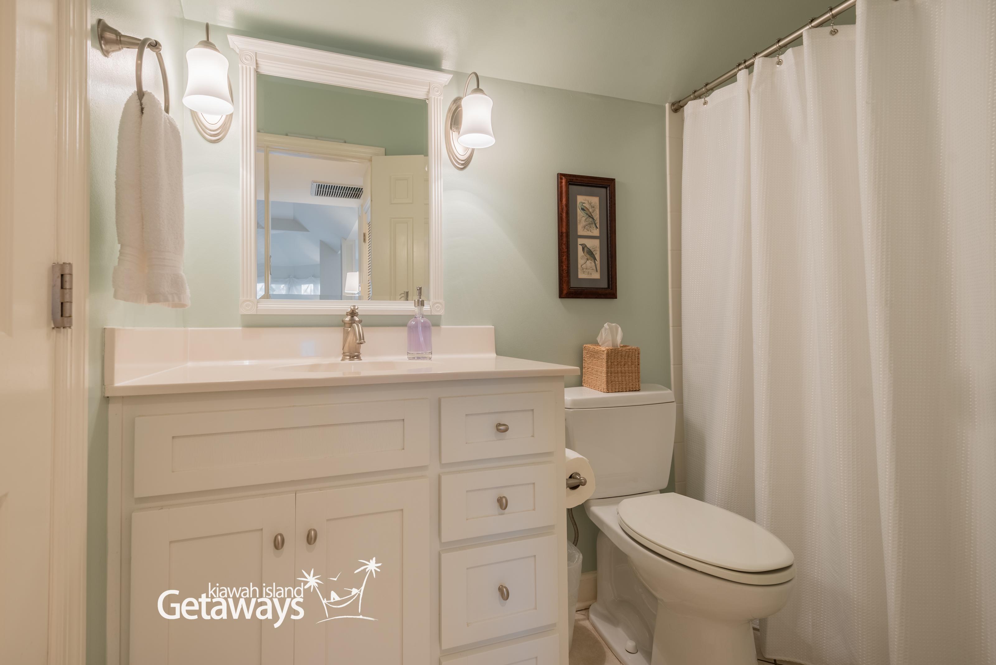 Twin/Hall Bathroom