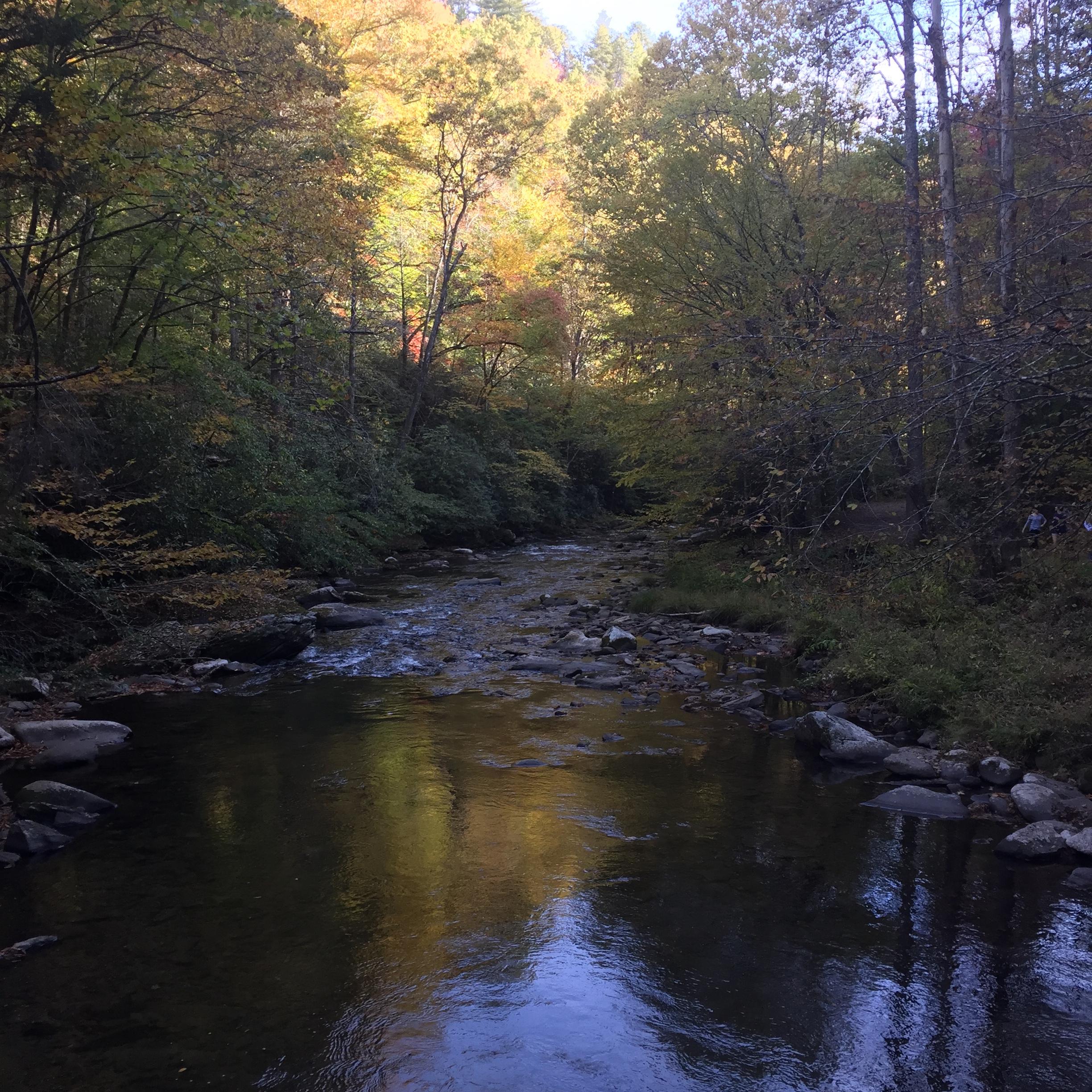 Deep Creek is just 20 minutes away, and offers Tubing and Trails to Hike
