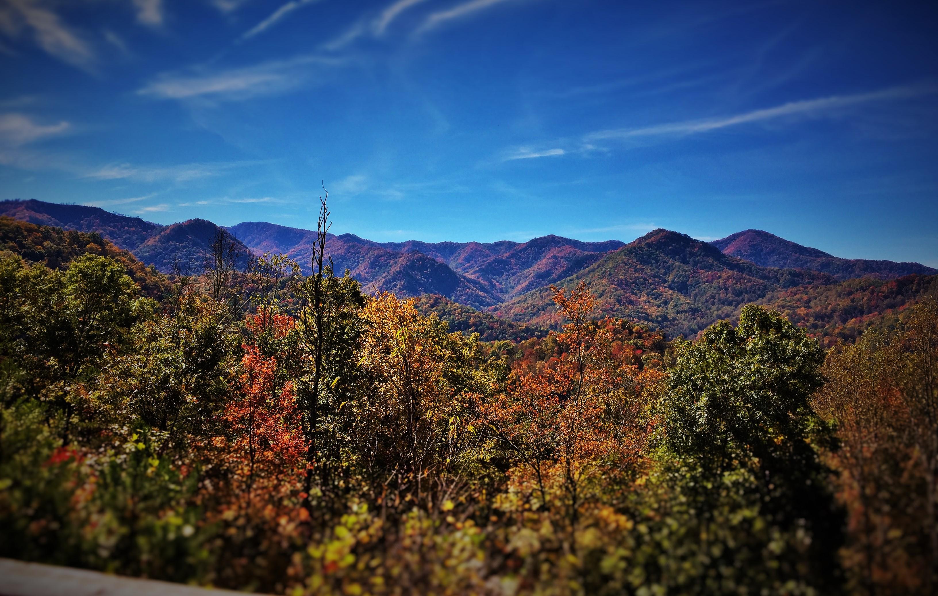 These Views are seen from every room in the Cabin!