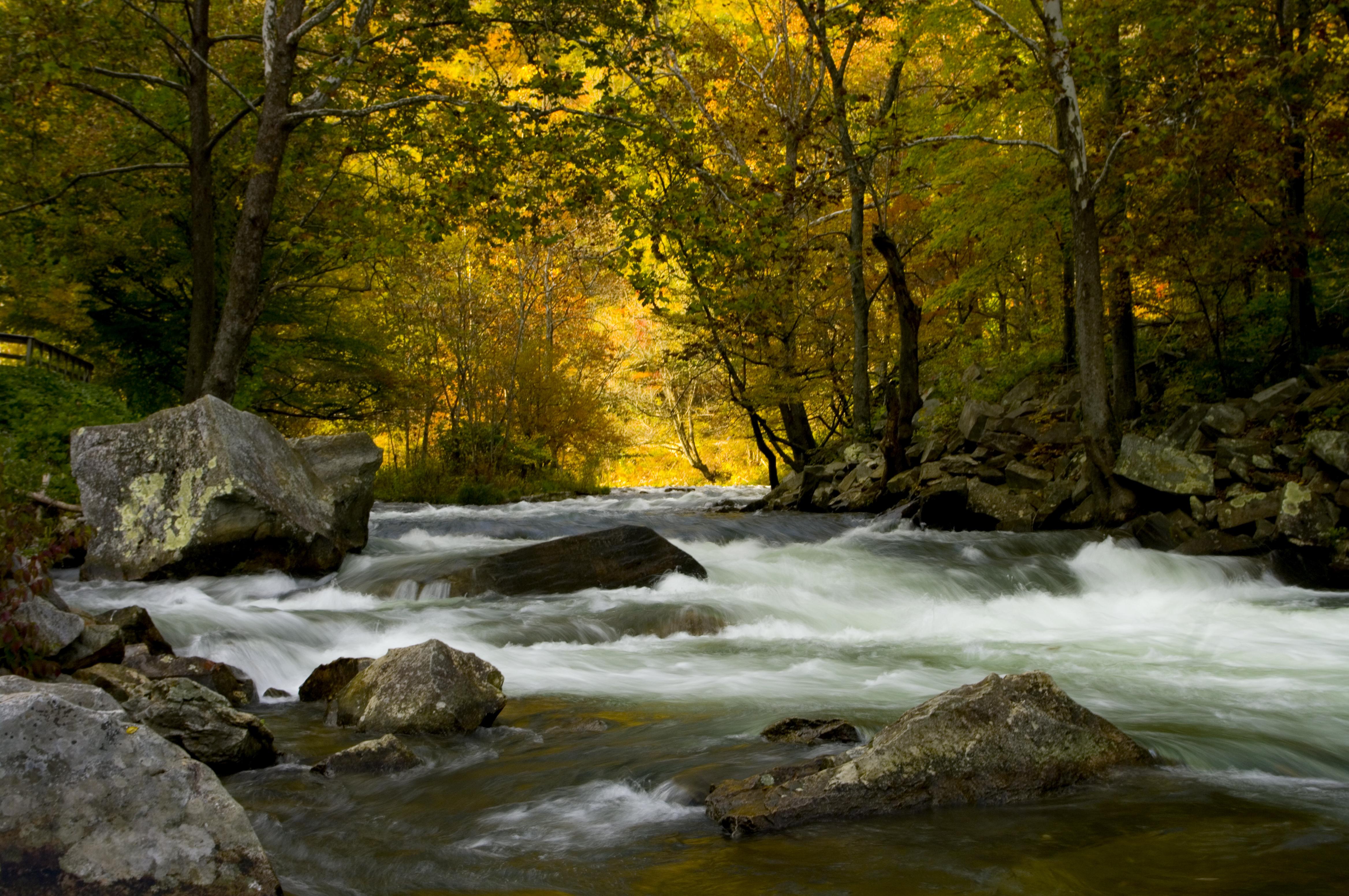 The Nantahala River is just a few minutes away