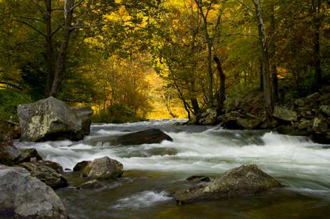 The Nantahala River is just a few minutes away