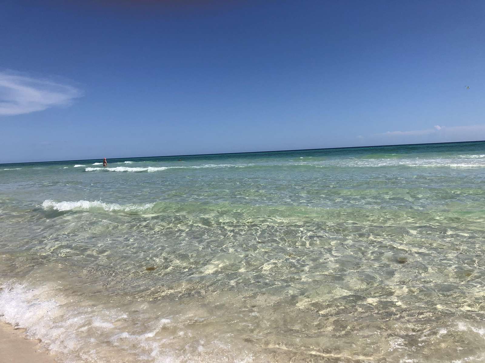 Ocean behing Opulent pearl