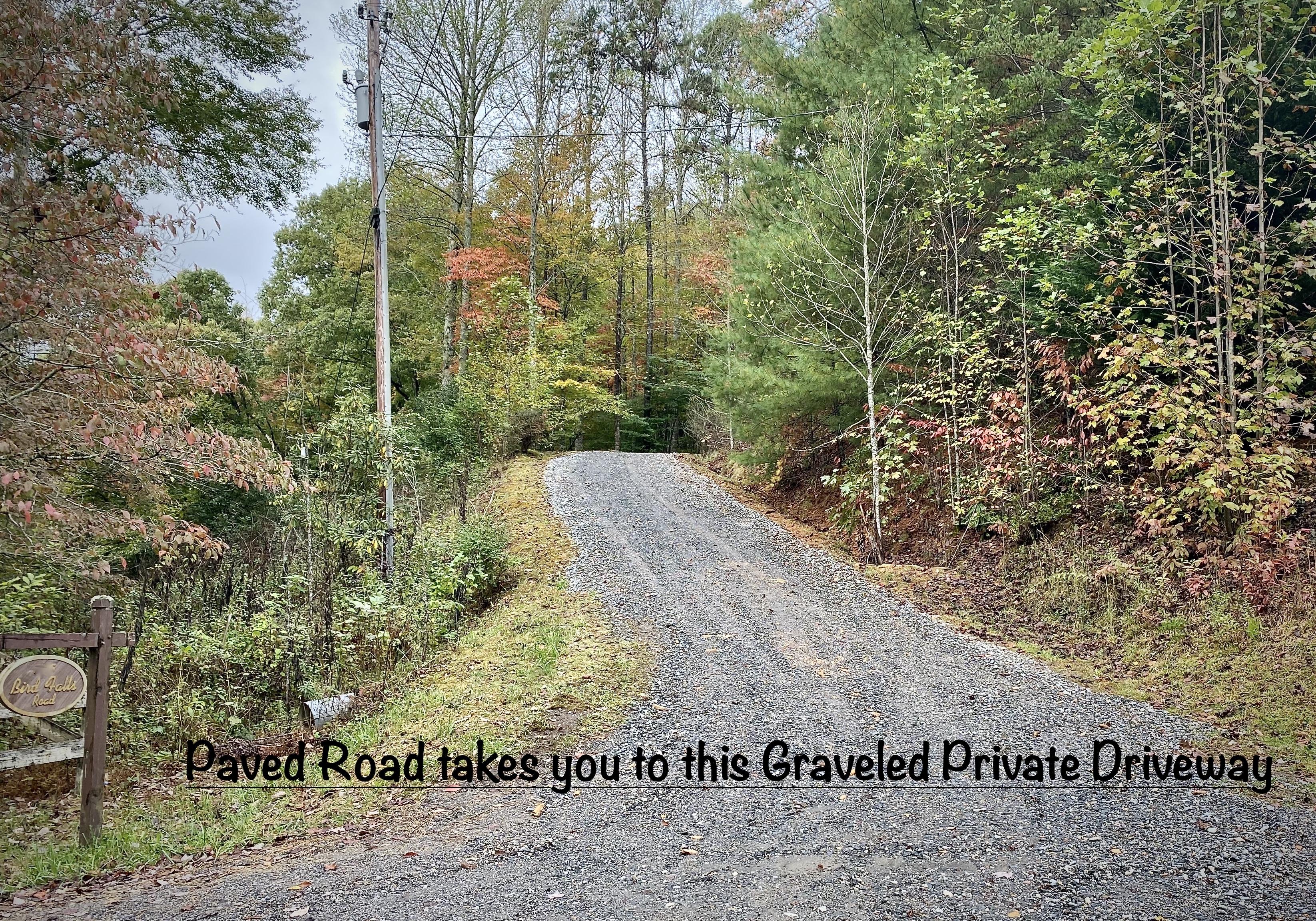 Paddlers Retreat's Private Driveway. The driveway curves to the right and the Cabin sits at the end, up on the Hill