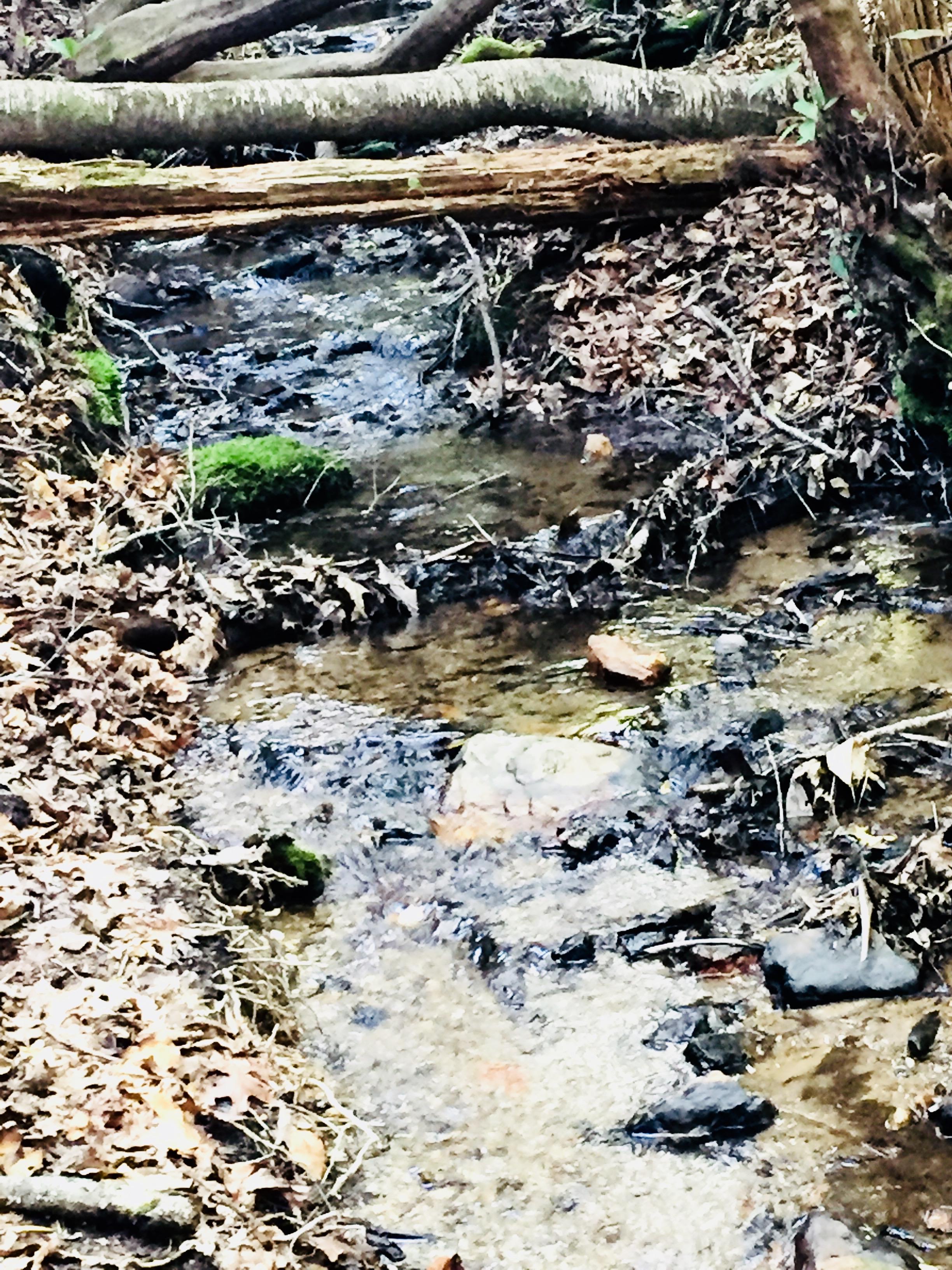 The Private Nature Trail leads to a small stream at the end...