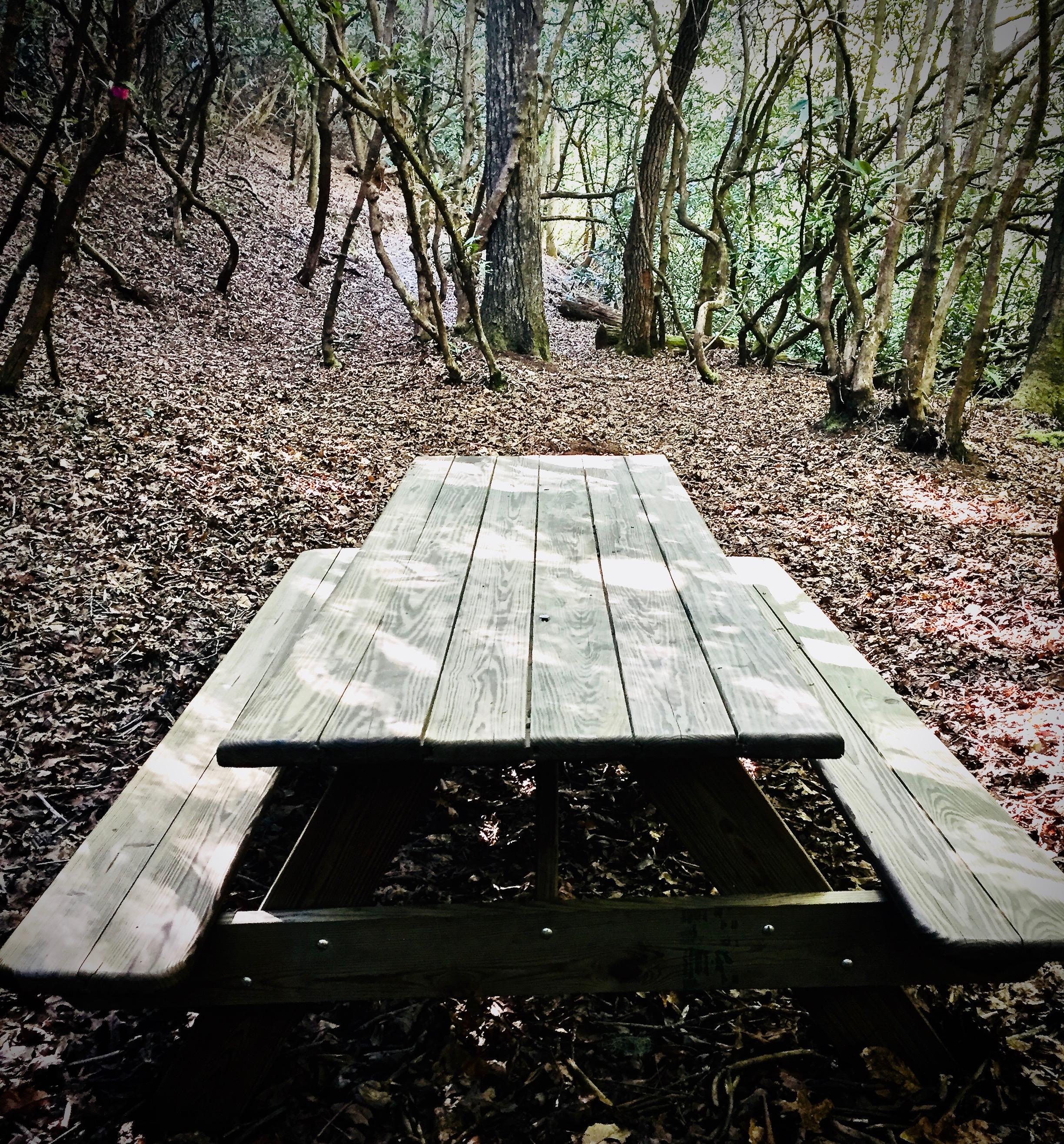 PicNic Table at the base of your Private nature Trail offers the ideal place to relax and enjoy the sounds of the stream.