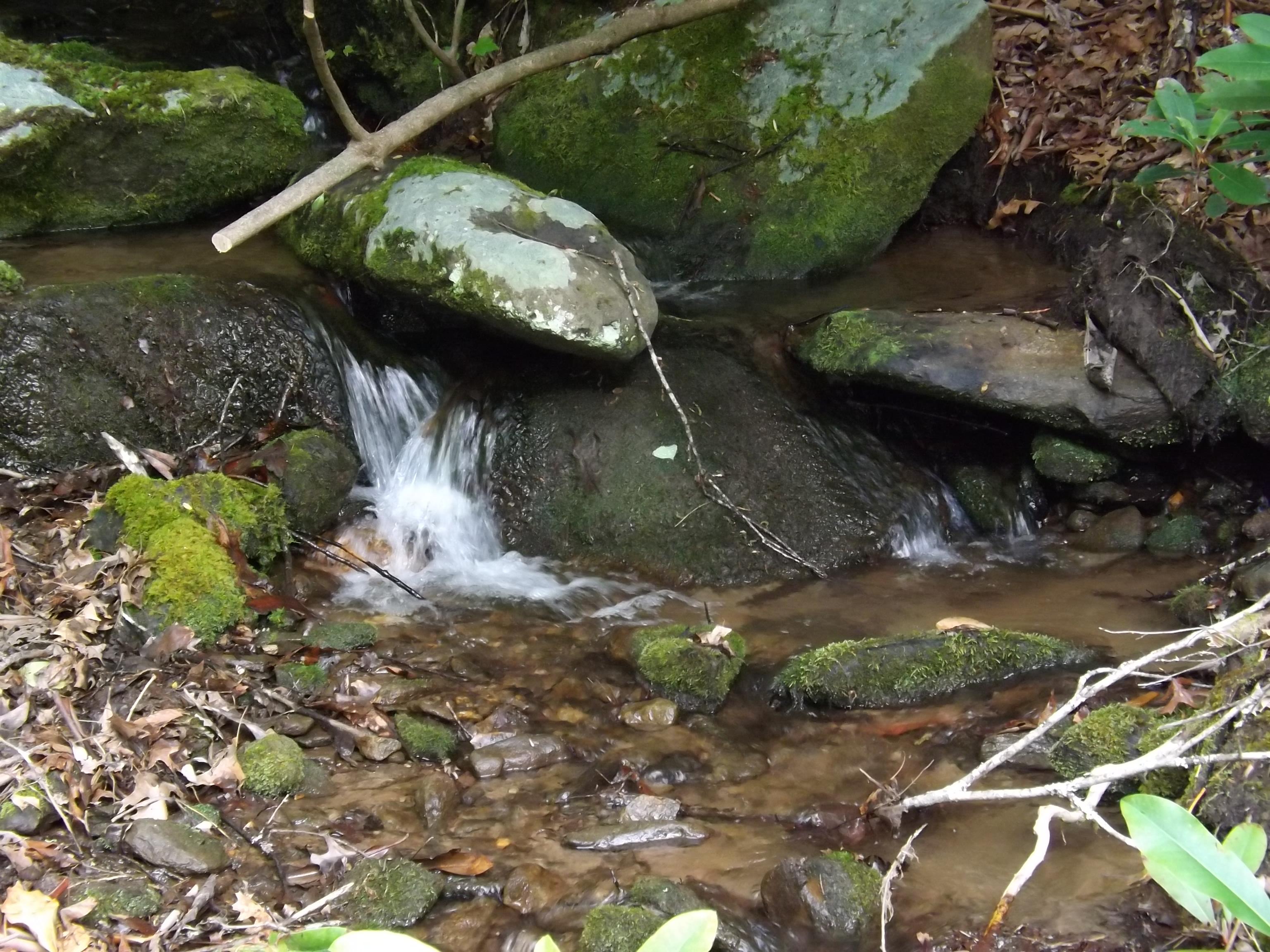Creek sounds are ever present and soothing!