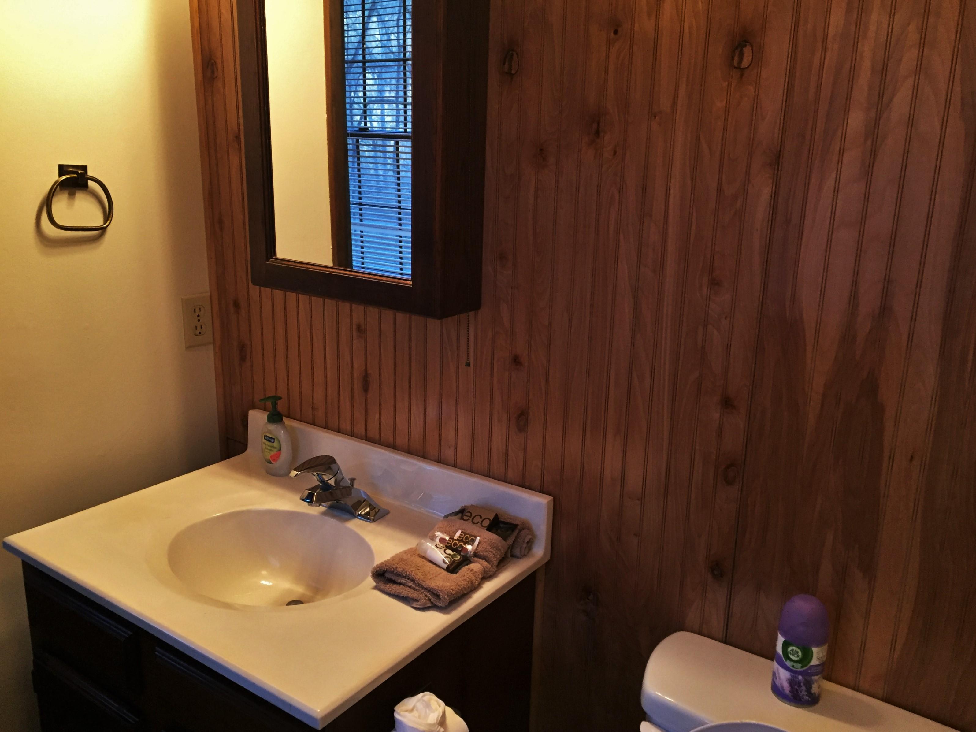 Upstairs Bathroom offers Shower and Tub Combo
