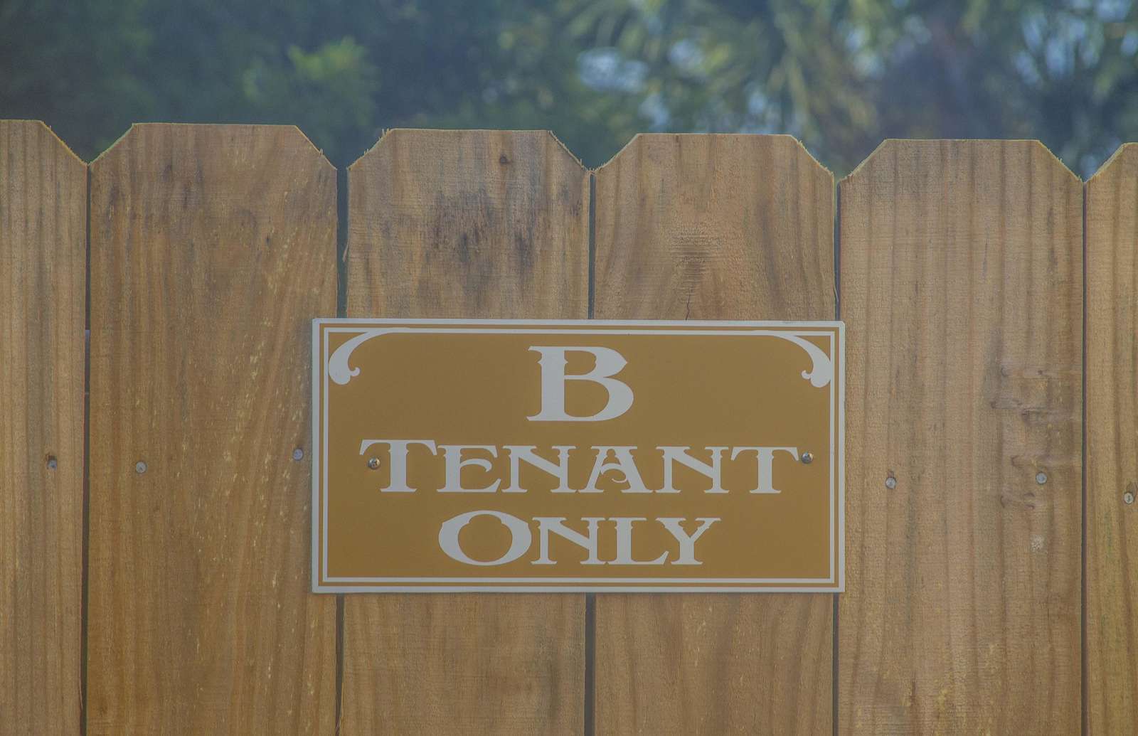 B Unit - Private Backyard