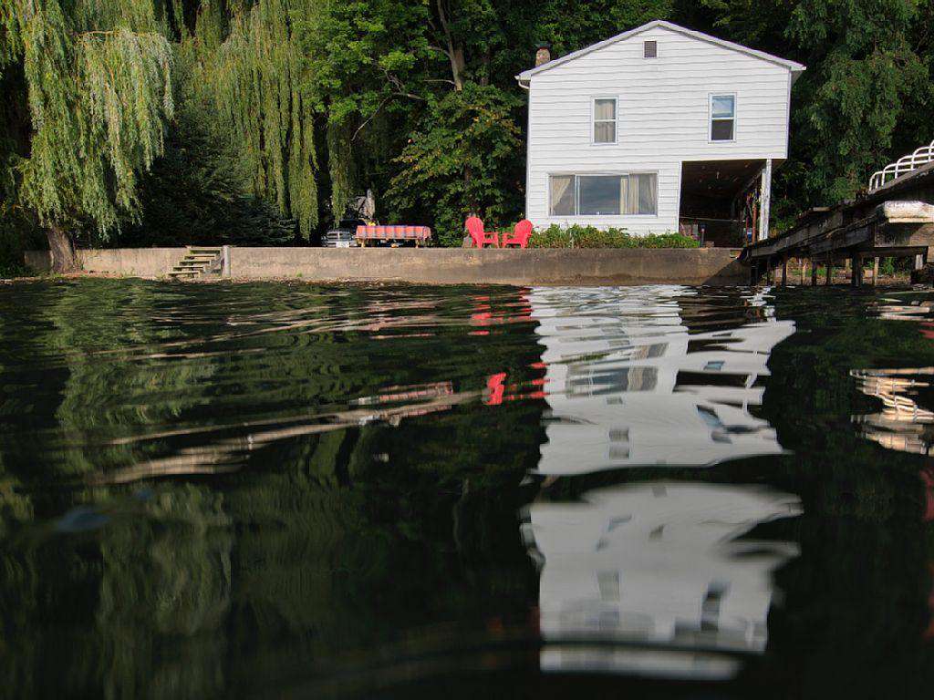 View from the Lake 