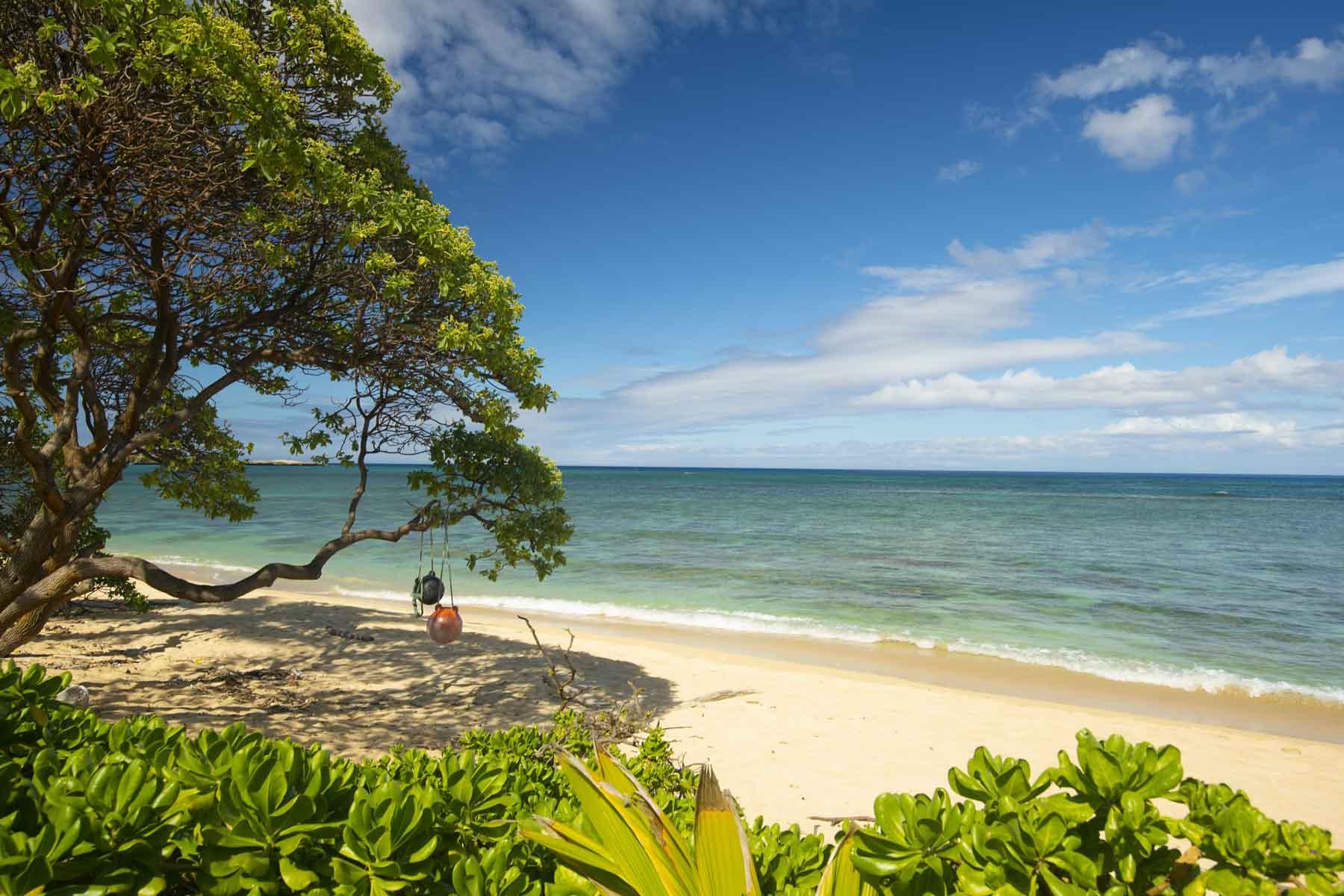 Walk onto the sany beachfront from the lawn.