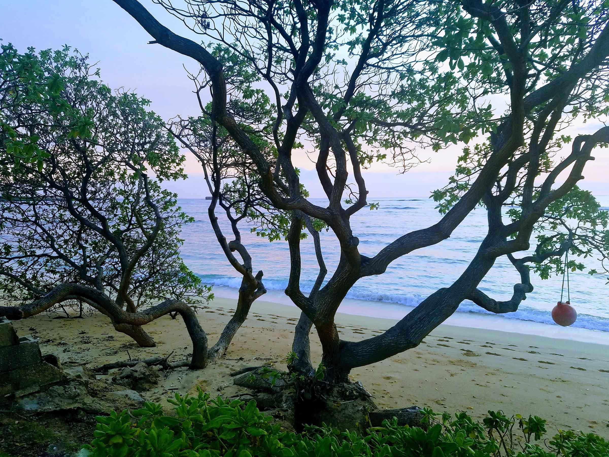 Enjoy pastel dawns from your beachfront.