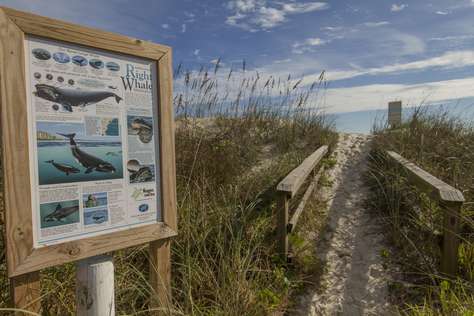 Path to Beach