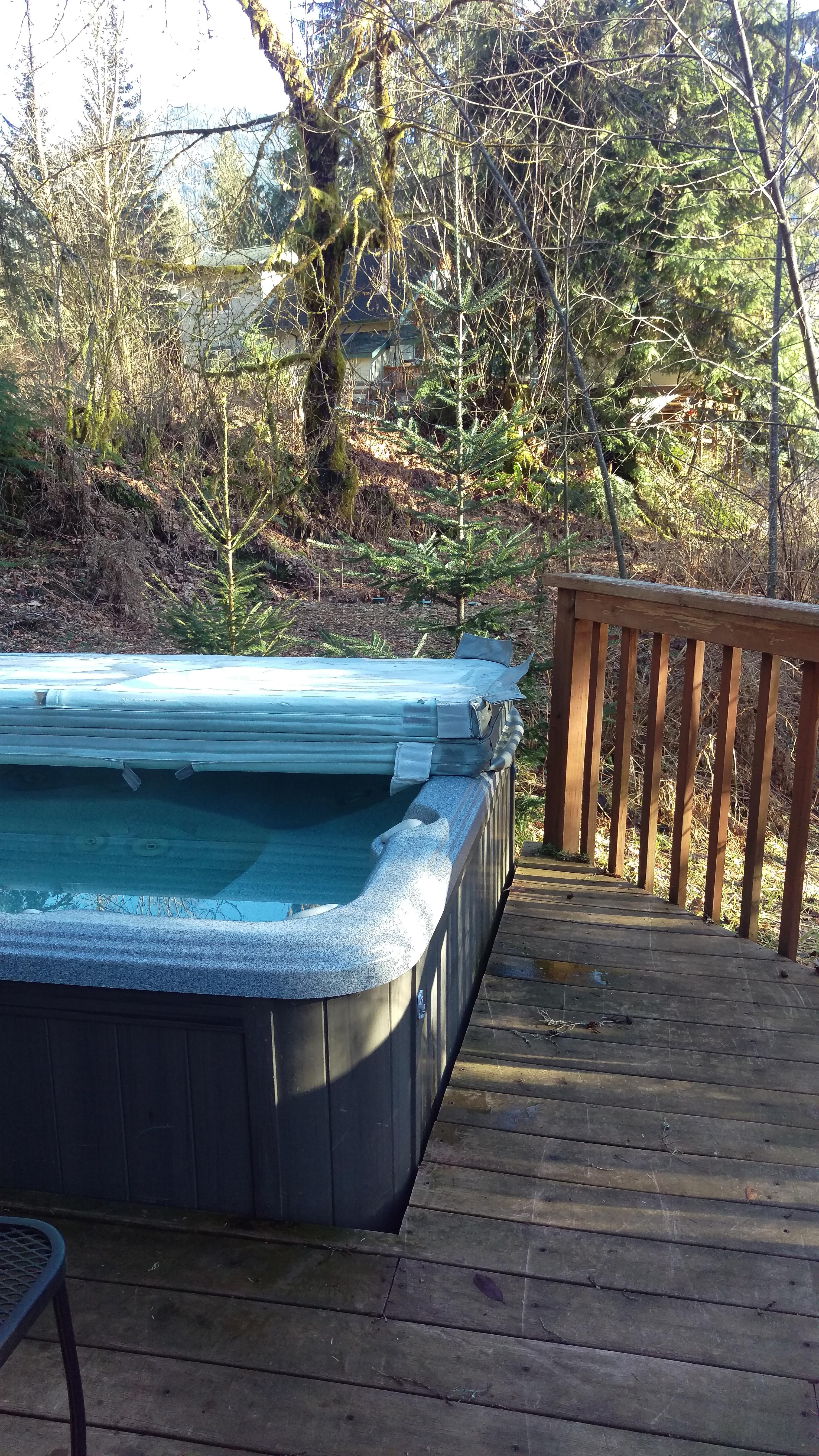 Hot Tub with a view (winter)