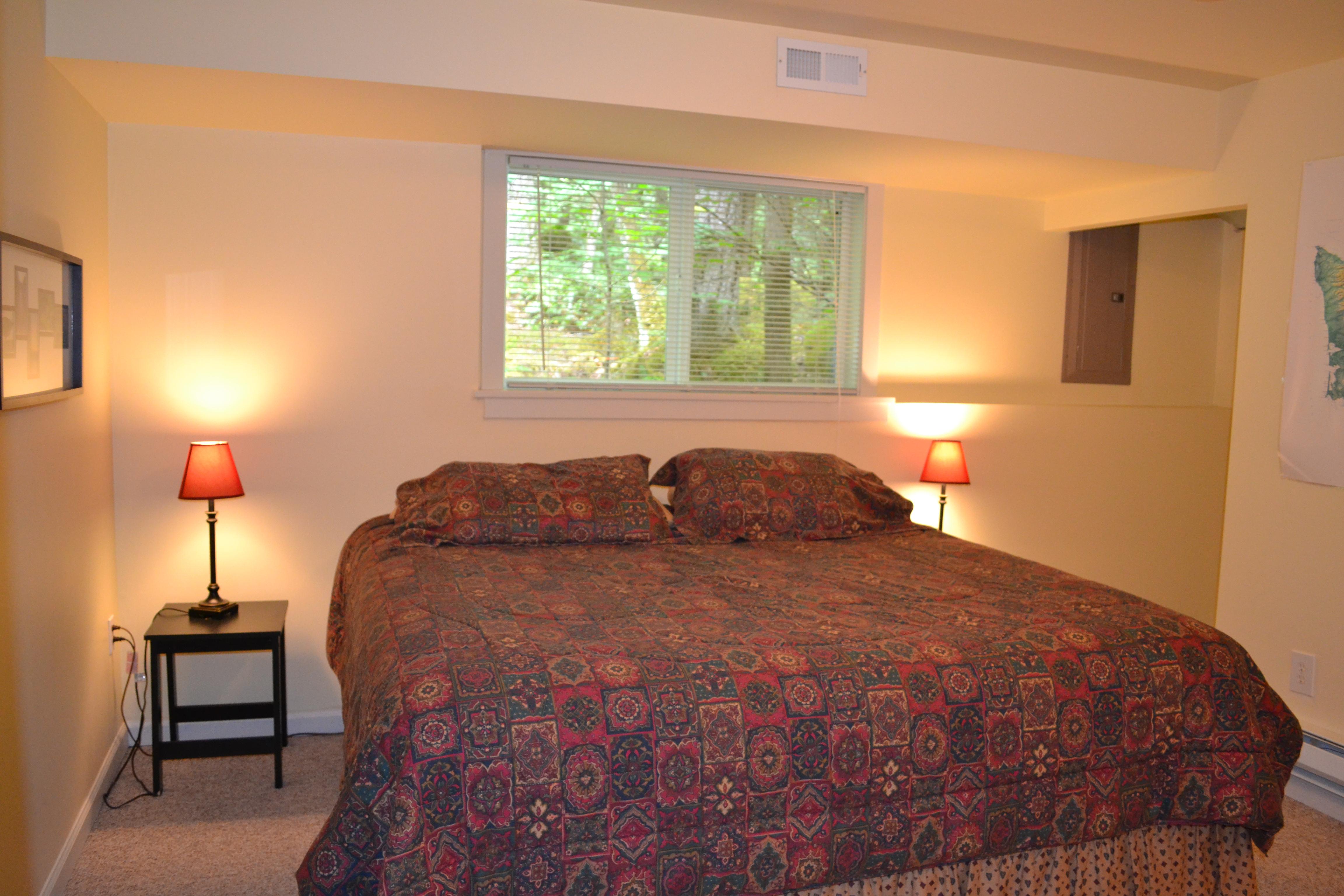 Downstairs King Bedroom