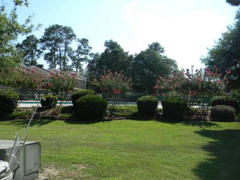 View from Back Patio