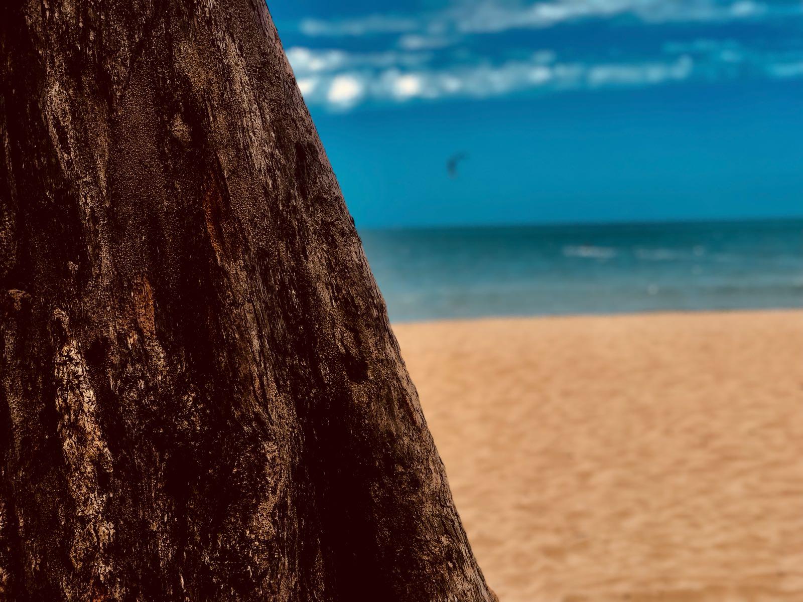 The beach is 30 seconds walk