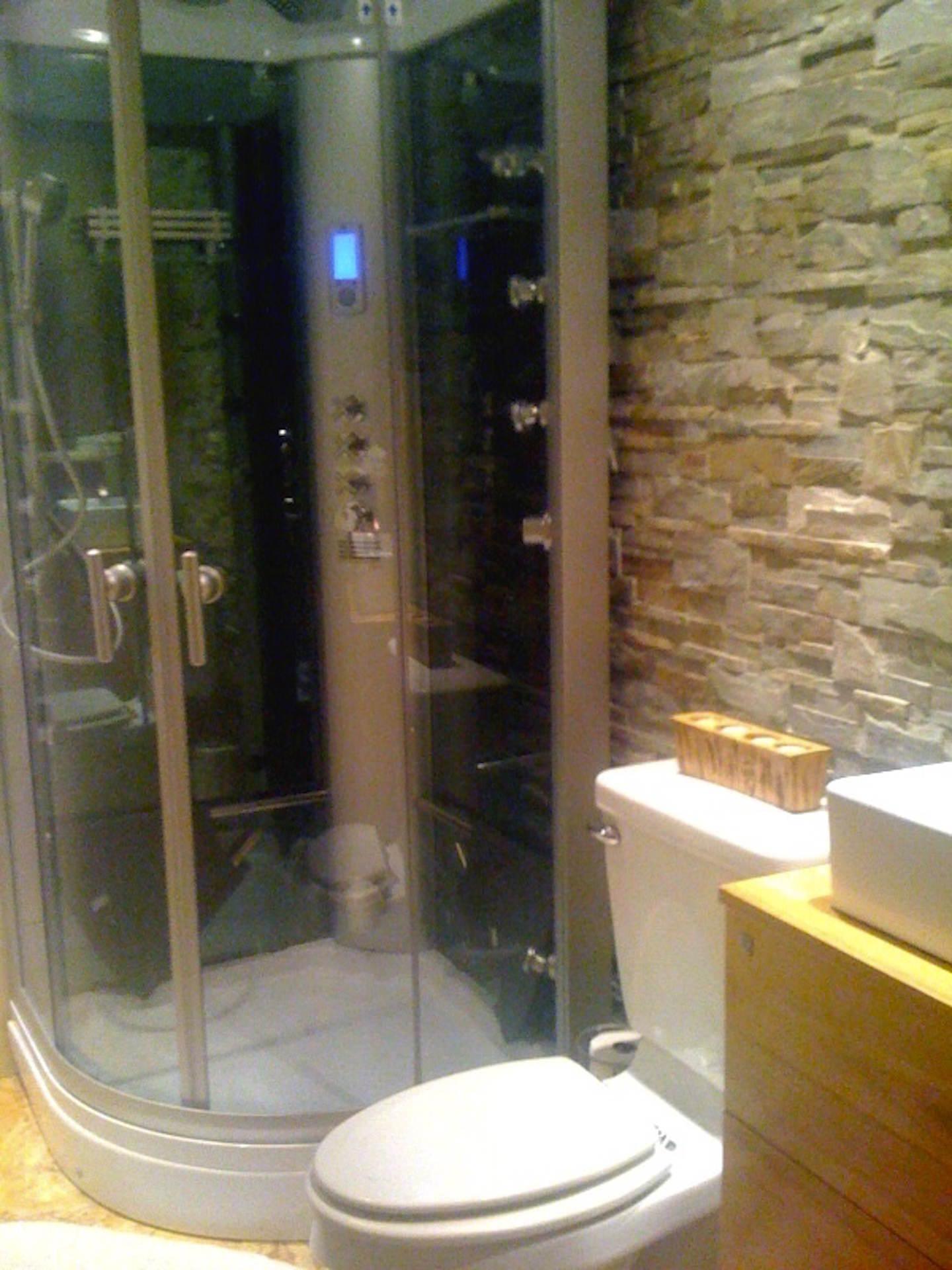 Steam shower in modern bathroom
