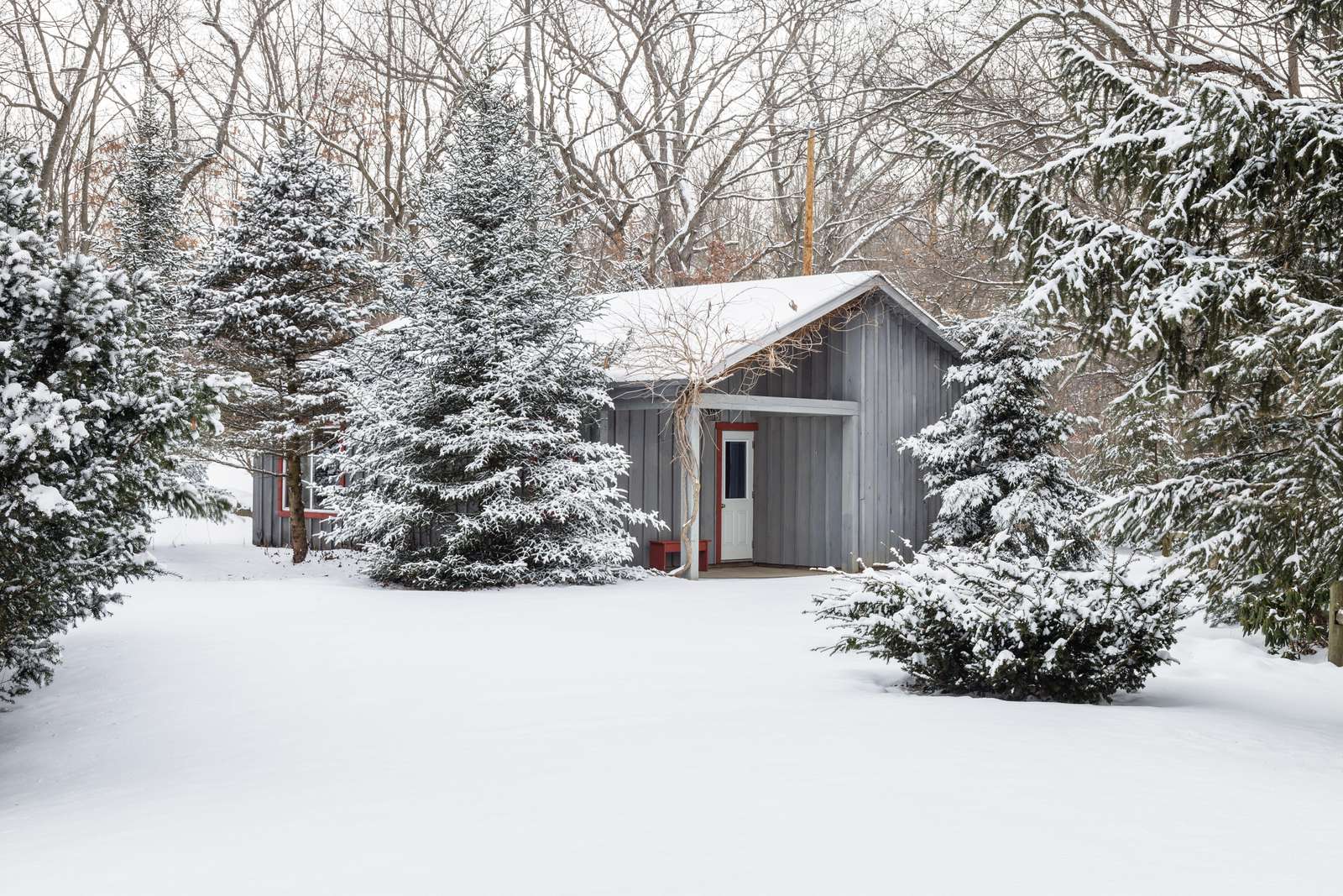 Hummingbird Hideaway Secluded Cabins