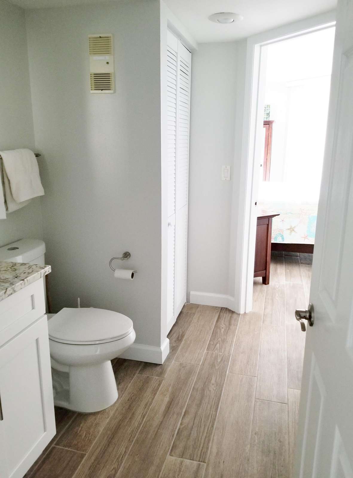 Master bath and shower
