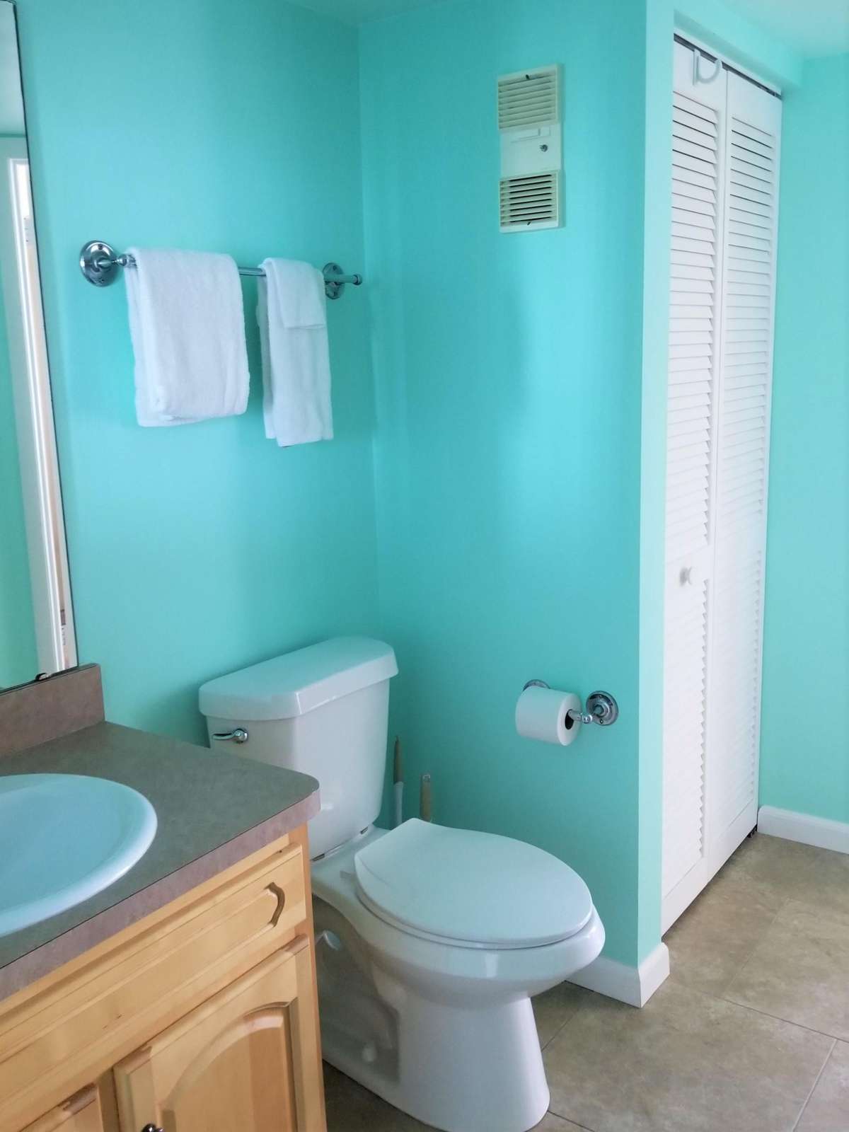 Master bath (shower)