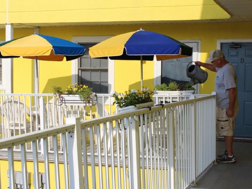 Great outdoor living among flowering plants and herb garden