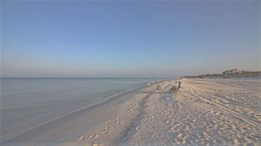Open Dog Friendly Beaches