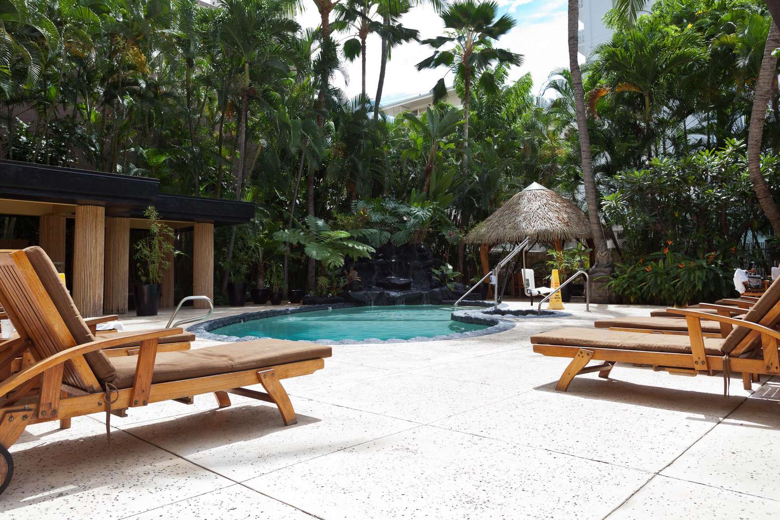 Plenty of sunloungers