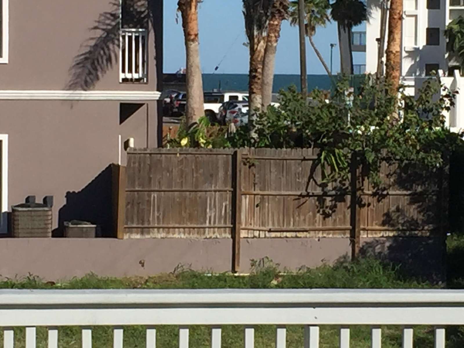 Not really a view, but you can see the Gulf