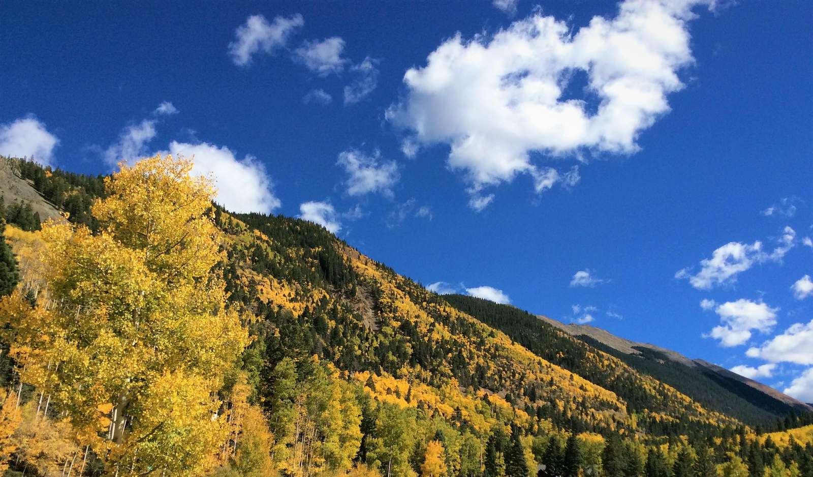 View from #201 balcony | Fall