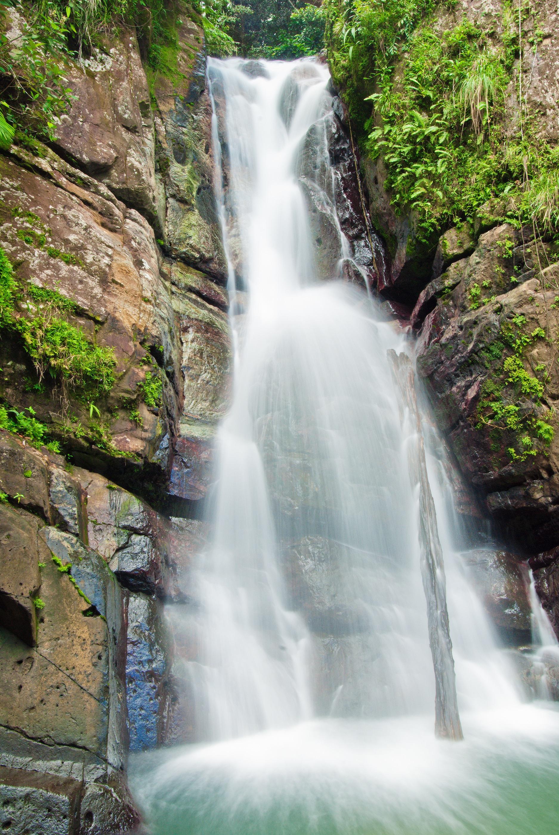 El Yunque rain forest is a must during your stay