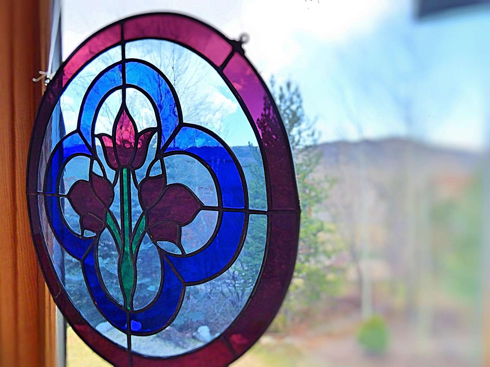 Picture Window