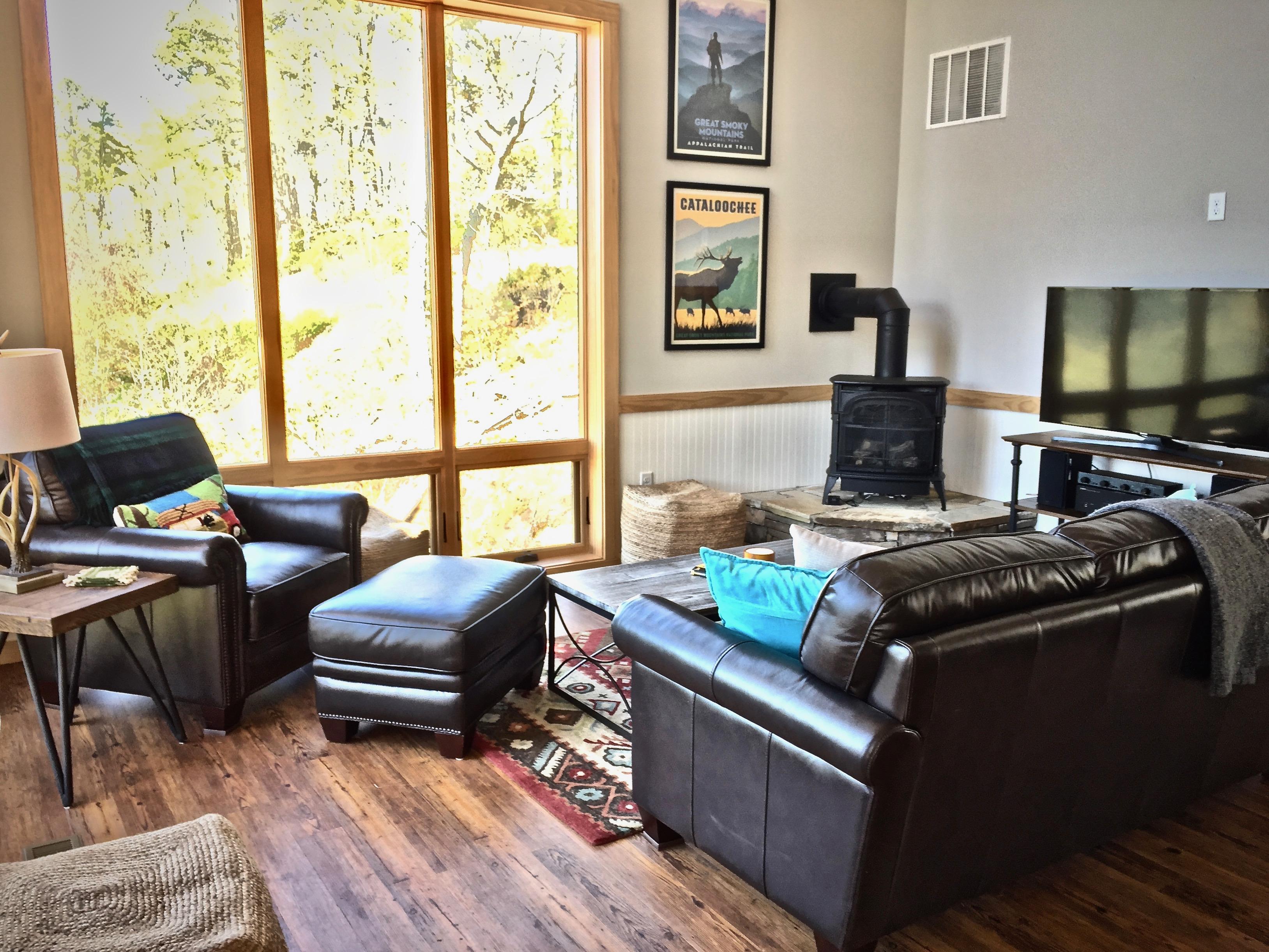Living Room offers comfortable seating, a Cozy Wood Stove style Fire Place.