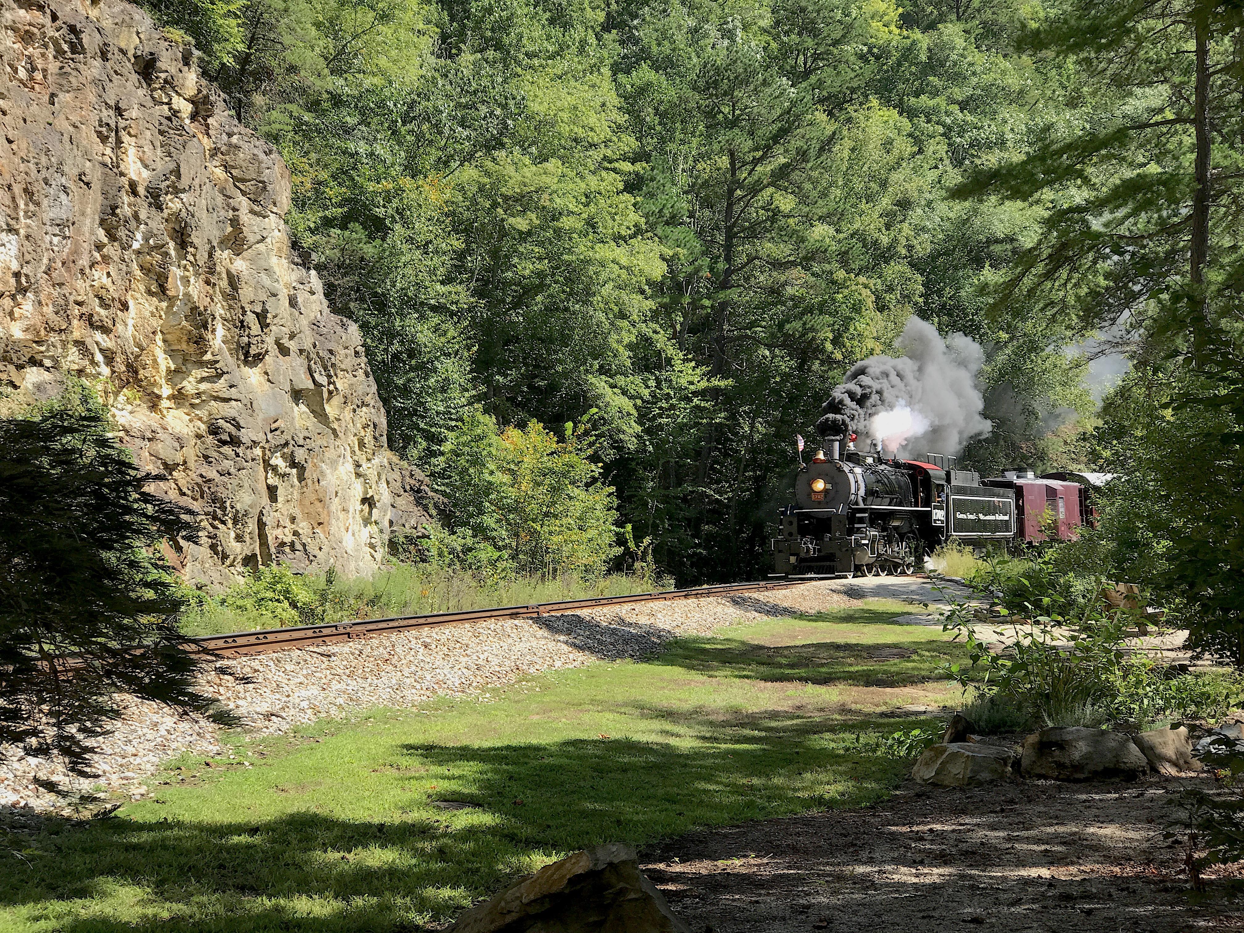 The Scenic Train from Bryson City passes above the Lake Front Docks on the way to the N.O.C.