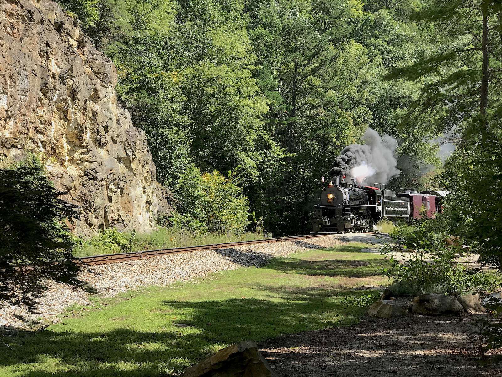 The Scenic Train from Bryson City passes above the Lake Front Docks on the way to the N.O.C.